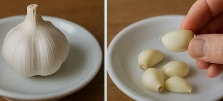 Natural Defense Against Colds and Flu